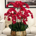 Red Phalaenopsis Orchids in a Medium Gold Pot – The Ever Botanic