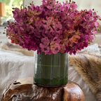 Mixed Mokara Orchids in Large Rota Cylinder – The Ever Botanic