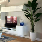 9-Foot Bird of Paradise with Glossy White Planter – The Ever Botanic