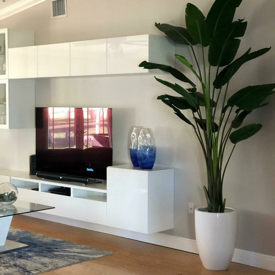 9-Foot Bird of Paradise with Glossy White Planter – The Ever Botanic