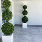 Triple Ball Topiary with Medium Block Fiberglass Planter – The Ever Botanic