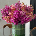 Mixed Mokara Orchids in Large Rota Cylinder – The Ever Botanic