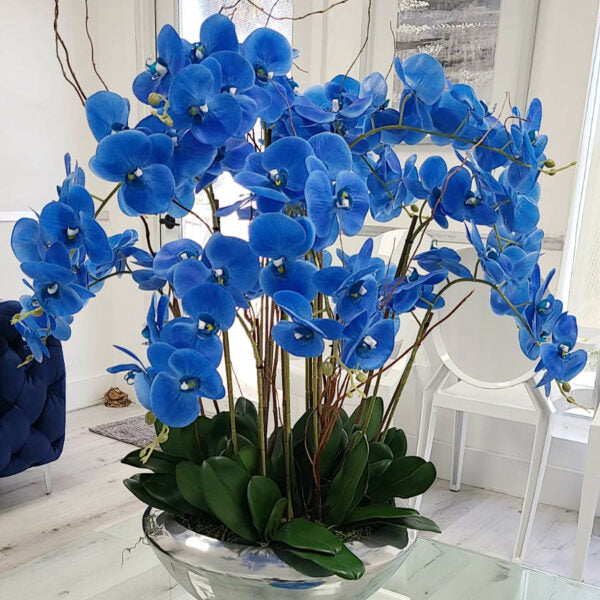 Bowl Avenue with Blue Phalaenopsis Orchids – The Ever Botanic