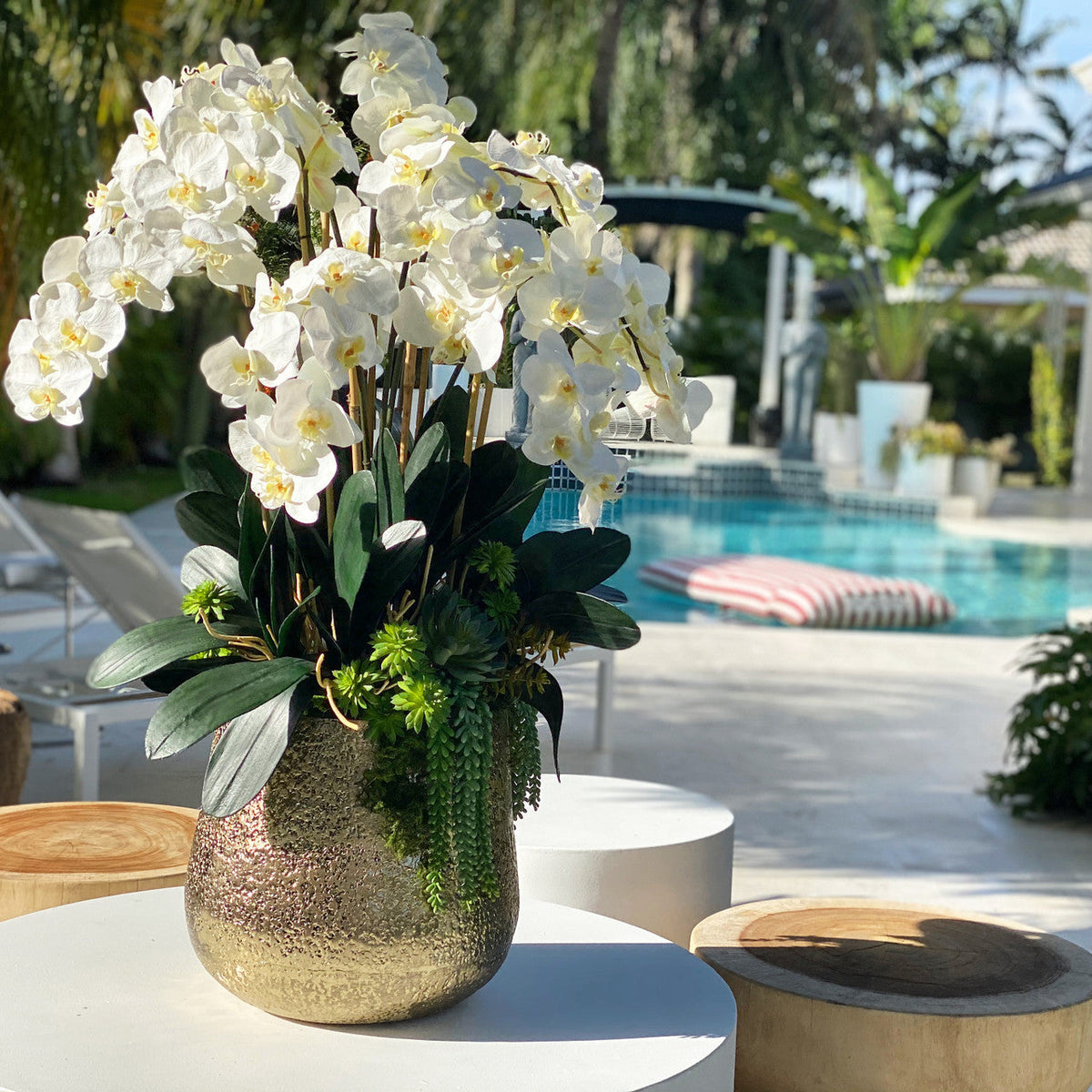 Delaney Gold Vase with Multiple Phalaenopsis Orchid Stems and Succulents – The Ever Botanic