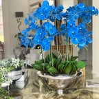 Bowl Avenue with Blue Phalaenopsis Orchids – The Ever Botanic
