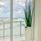 Stainless Steel Cube Vase with Snake Grass – The Ever Botanic