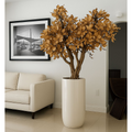Beige Magnolia Tree in Pot St. Tr. Glossy White Release – The Ever Botanic