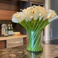 Calla Lilies in Glass Cylinder 10" – The Ever Botanic