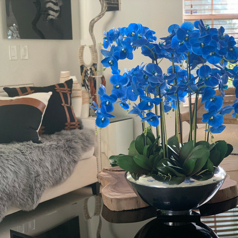 Avenue Bowl with Blue Phalaenopsis Orchids – The Ever Botanic