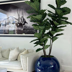 30" Blue Globe Vase with Fiddle Leaf Fig – The Ever Botanic
