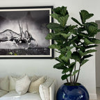 30" Blue Globe Vase with Fiddle Leaf Fig – The Ever Botanic
