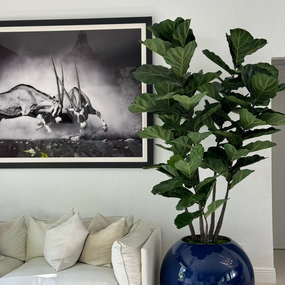 30" Blue Globe Vase with Fiddle Leaf Fig – The Ever Botanic