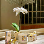 Home Fragrance Parisian Rendezvous with Scent Sticks – The Ever Botanic