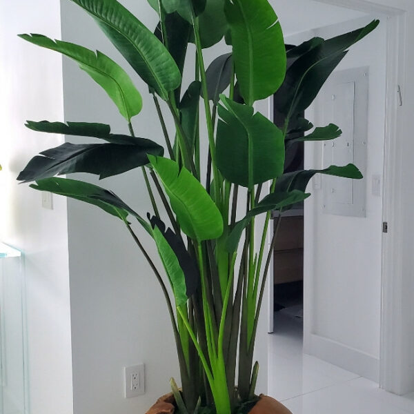Large Vase Made of Teak Wood with Magnificent Strelitzia (Bird of Paradise) – The Ever Botanic