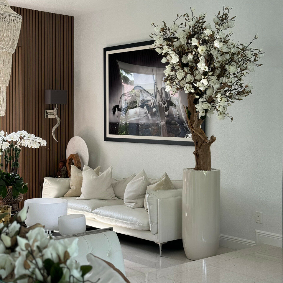 White Magnolia Tree in Shiny St. Tropez Beige Pot – The Ever Botanic