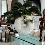 Large Eternity Vase with Hanging Bonsai and Floating Wood – The Ever Botanic