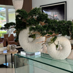 Large Eternity Vase with Hanging Bonsai and Driftwood – The Ever Botanic