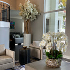Matte Beige St. Tropez Vase with White Cherry Blossom Tree – The Ever Botanic