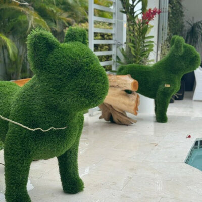 French Bulldog – Animal Shape Topiary – The Ever Botanic