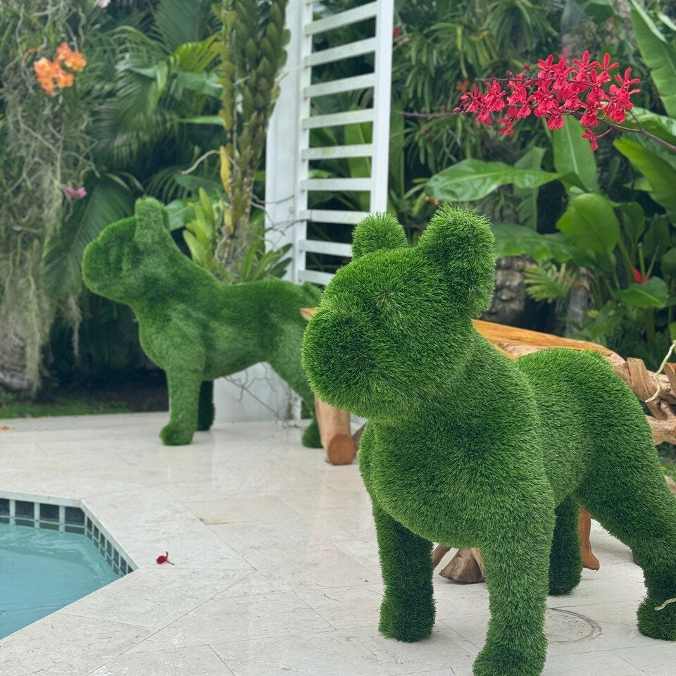 French Bulldog Topiary – The Ever Botanic