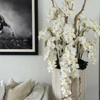 San Jose Beige Sand Vase with White Orchids in Cascade – The Ever Botanic