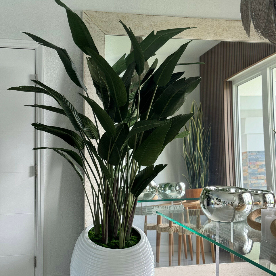 Bird of Paradise in White Spiral Pot – The Ever Botanic