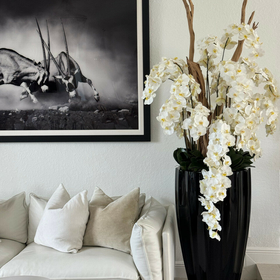San Jose Vase in glossy black with hanging yellow orchids – The Ever Botanic