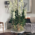 Avenue Flower Box with Dendrobium Orchids – The Ever Botanic