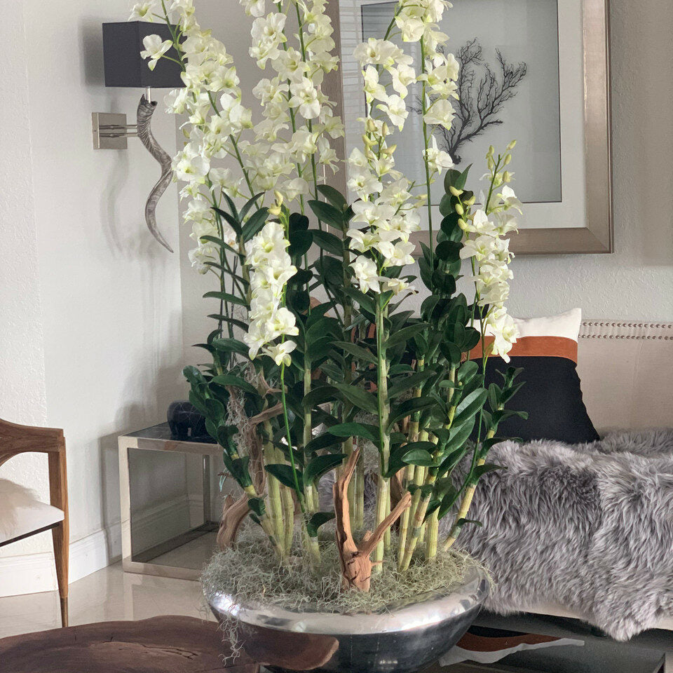 Avenue Flower Box with Dendrobium Orchids – The Ever Botanic