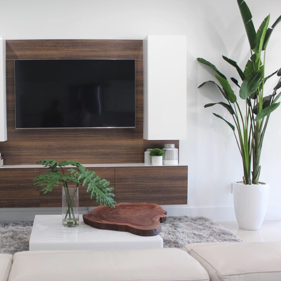 2.74 m Bird of Paradise with Ben Pot in Glossy White – The Ever Botanic