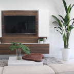 9-Foot Bird of Paradise with Glossy White Planter – The Ever Botanic