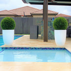 Ben L Fiberglass with 20" Topiary – The Ever Botanic