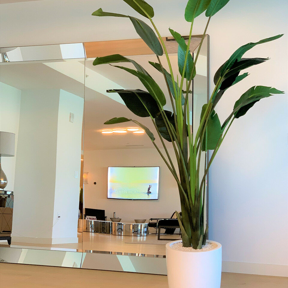 Bird of Paradise Plant (2.7 m) with Ben Planter in Glossy White – The Ever Botanic