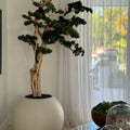 Bonsai Tree in Globe-Shaped Planter – 180 cm, Satin Beige – The Ever Botanic
