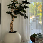 Bonsai Tree in Globe-Shaped Planter – 180 cm, Satin Beige – The Ever Botanic