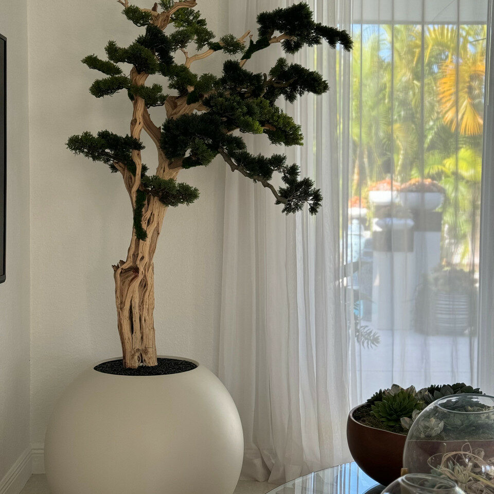 Bonsai Trail in Satin Beige Globe 30" – The Ever Botanic