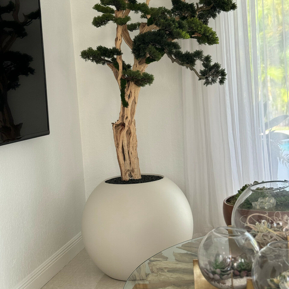 Bonsai Trail in Satin Beige Globe 30" – The Ever Botanic