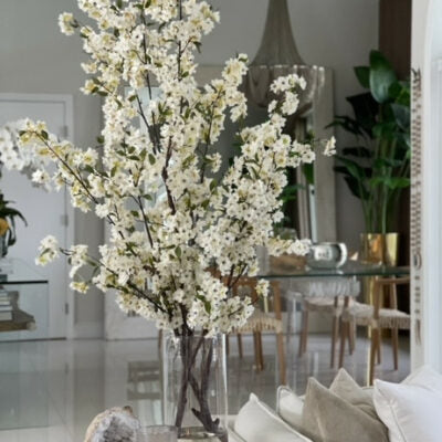 Cherry Blossoms in 40 cm Glass Cylinder – The Ever Botanic