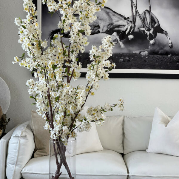 Cherry Blossom in 16" Glass Cylinder – The Ever Botanic