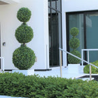 Triple Ball Topiary with Medium Block Fiberglass Planter – The Ever Botanic