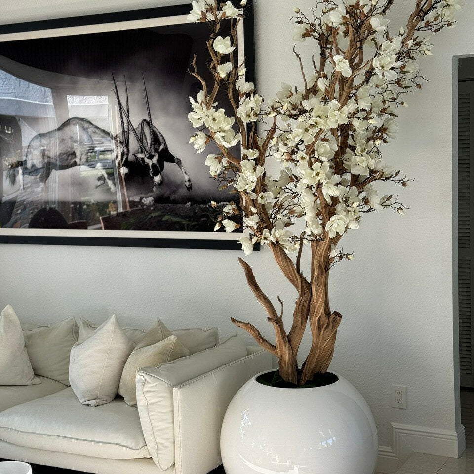 White Magnolia Tree in 126 cm Shiny White Globe Pot – The Ever Botanic