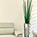 Large, Polished Stainless Steel Pot with Large Snake Grass Plant – The Ever Botanic