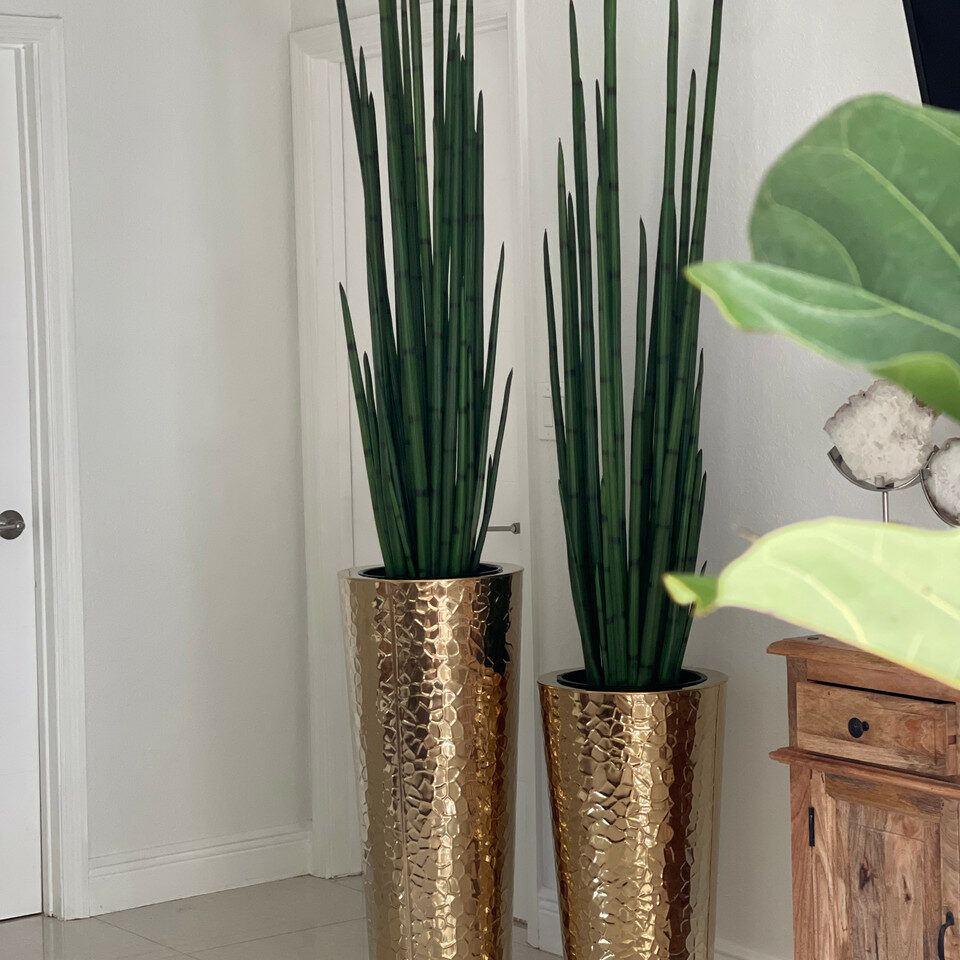 Conical Vase made of Gold-Colored Stainless Steel with Large Snake Grass – The Ever Botanic