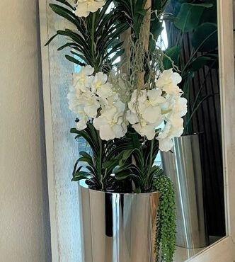 White Vandas in Conical Stainless Steel Planter – The Ever Botanic