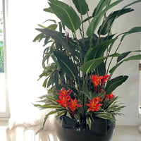 Tropical Arrangements