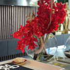 Red Cymbidium Orchids in Moon Planter – The Ever Botanic