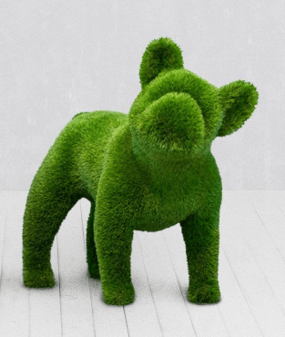 French Bulldog – Animal Shape Topiary – The Ever Botanic