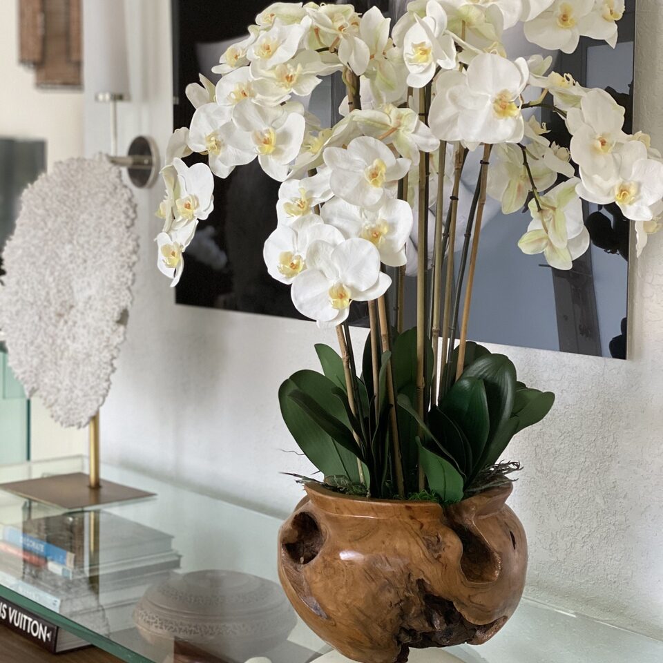Large Teak Wood Bowl with White Orchids – The Ever Botanic